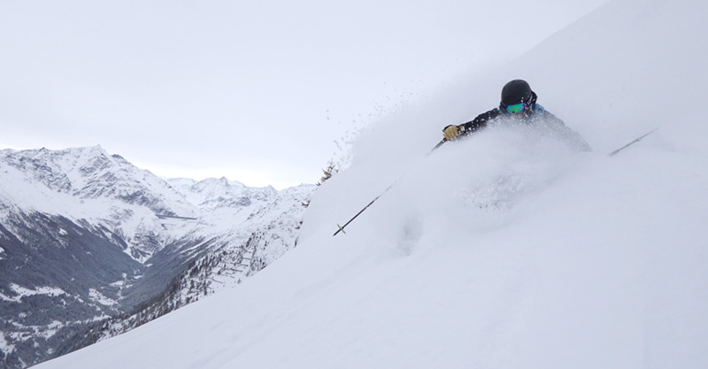 Powder & Knowledge